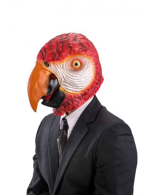 Gli Stili Maschera Pappagallo In Lattice Assortiti Aggiungono Un Tocco - Foto 9