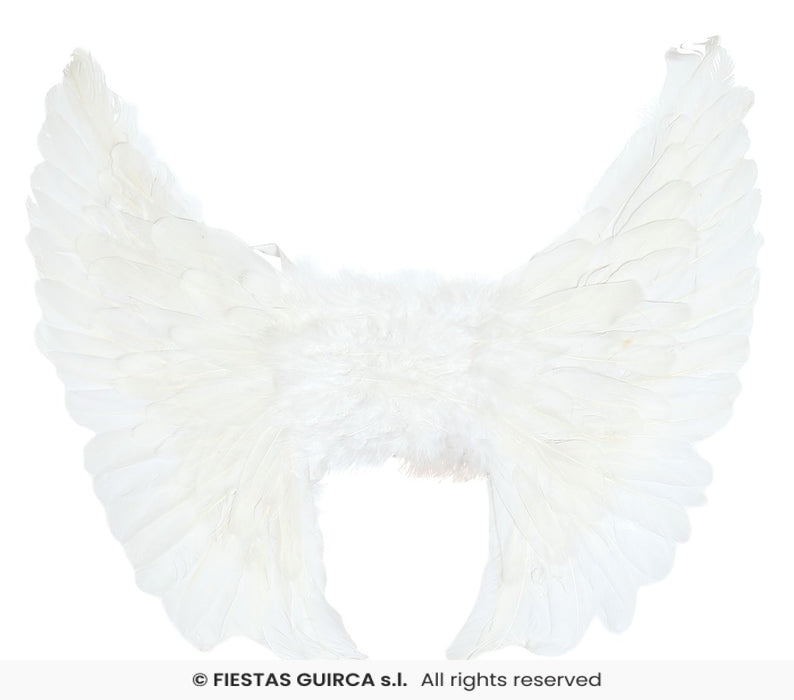 ALI CON PIUME BIANCHE DA ANGELO