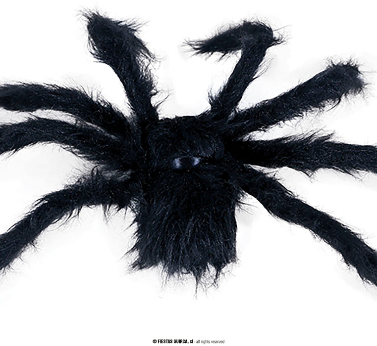 RAGNO NERO PELOSO CON OCCHI ROSSI CM 50