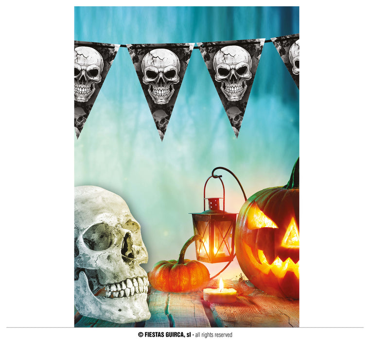 FESTONE BANDIERINE TESCHI IN CARTA PLASTIFICATA MT 3