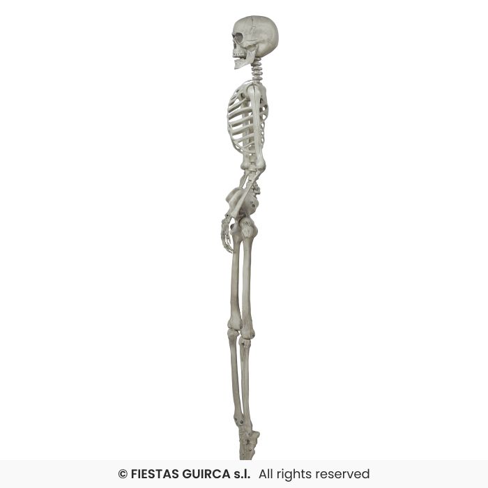 SCHELETRO MODELLABILE GIGANTE CM 160