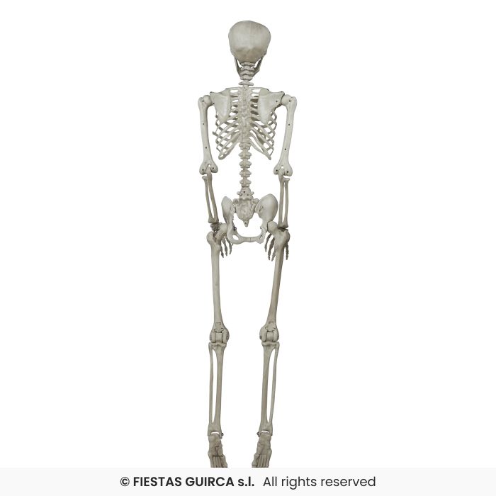 SCHELETRO MODELLABILE GIGANTE CM 160