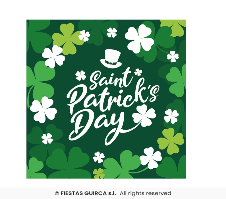 COORDINATO FESTA DI SAN PATRIZIO