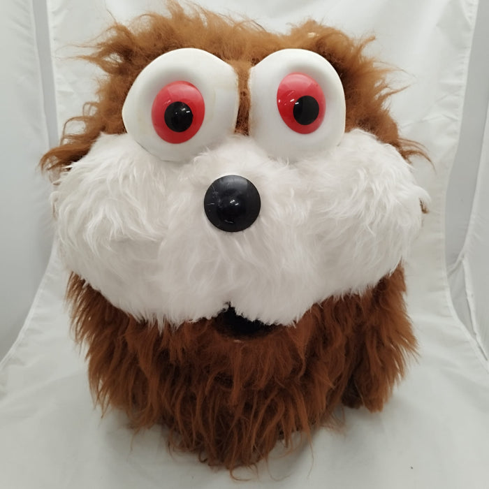 TESTA SCOIATTOLO MASCOTTE E TUTA