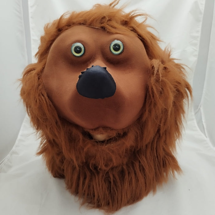 TESTA ORSO MASCOTTE IN PELUCHE E TUTA