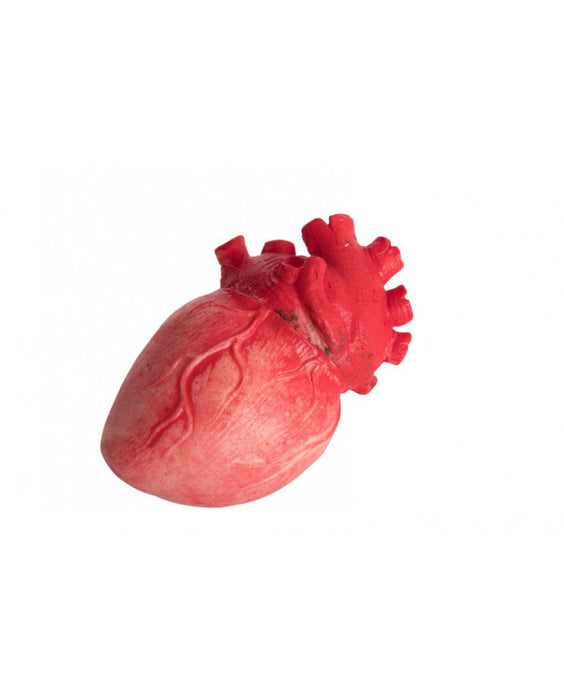 CUORE INSANGUINATO GRANDEZZA NATURALE IN LATTICE IMBOTTITO