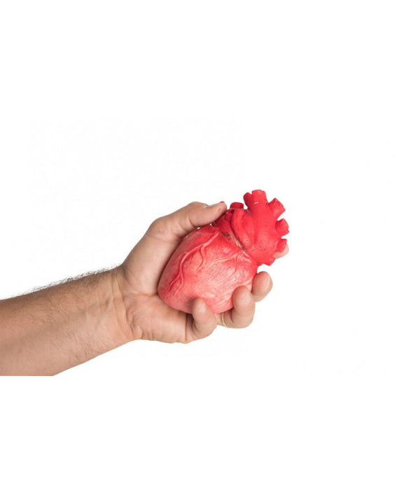 CUORE INSANGUINATO GRANDEZZA NATURALE IN LATTICE IMBOTTITO