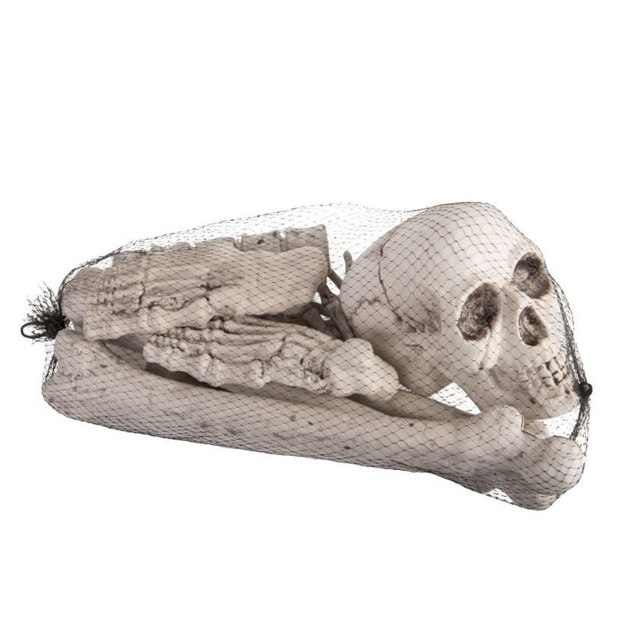 12 OSSA IN BUSTA DI RETE