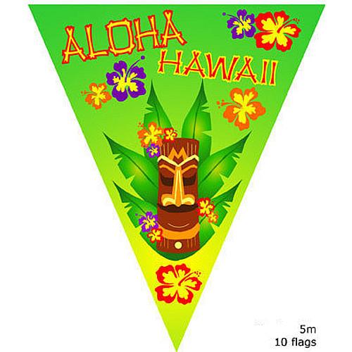 BANDIERINE ALOHA HAWAII MT 5
