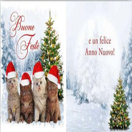 BIGLIETTO MUSICALE NATALE E ANNO NUOVO