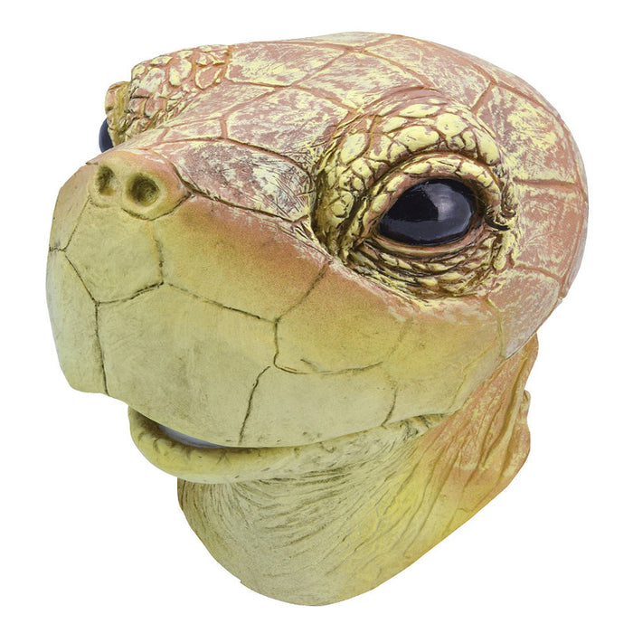 MASCHERA DA TARTARUGA IN LATTICE