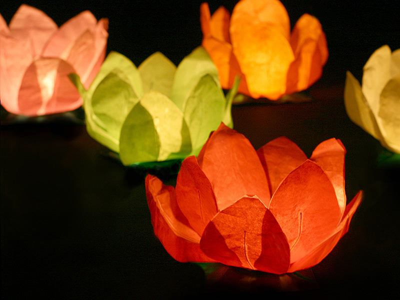 FIORE LANTERNA GALLEGGIANTE CM 29