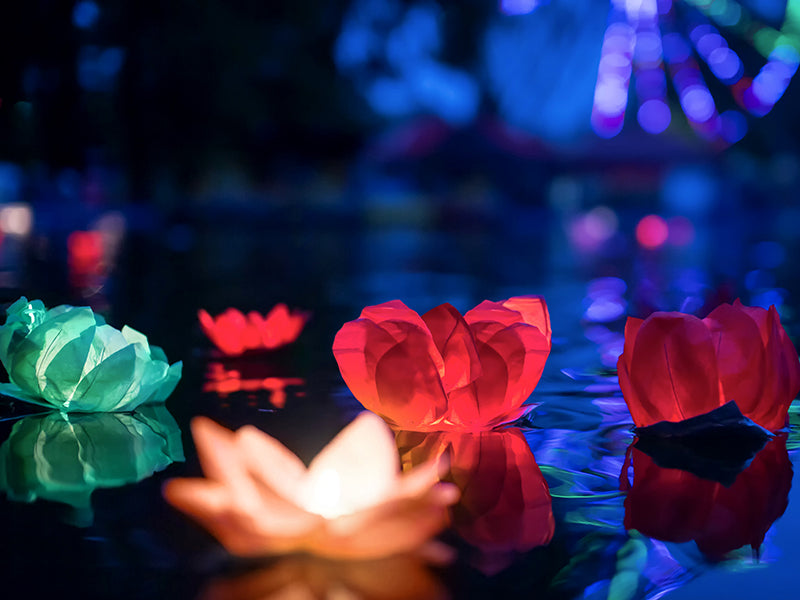 FIORE LANTERNA GALLEGGIANTE CM 29