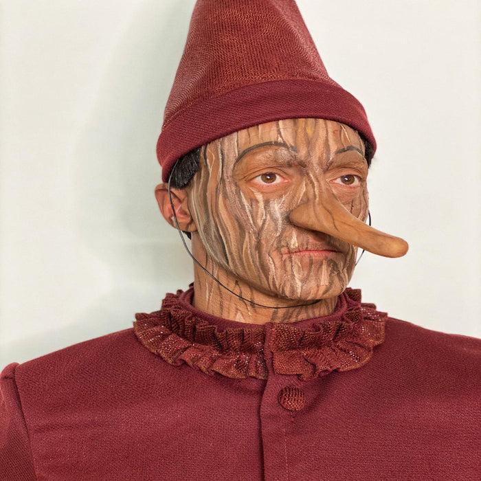 COSTUME DA BURATTINO BUGIARDO